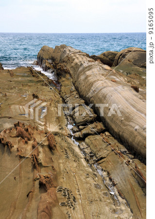 竜串海岸 9165095