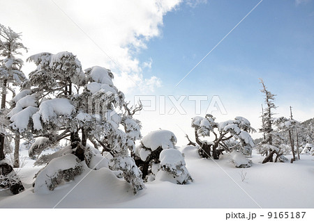 雪山の風景4 雪山の風景4 9165187