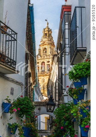 スペイン コルドバ 花の小径 スペイン コルドバ 花の小径 9165520
