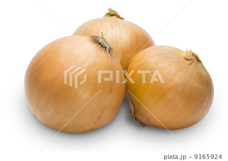 玉葱 玉葱 9165924