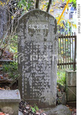 鎌倉化粧坂 鎌倉化粧坂 9166614