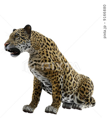 ヒョウ ヒョウ 9166880