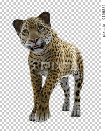 Leopard Leopard 9166883