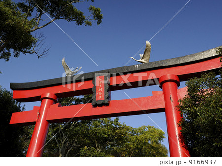 加紫久利神社の鳥居 加紫久利神社の鳥居 9166937