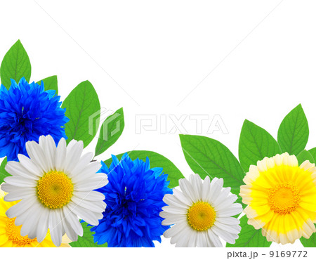 flowers background 9169772