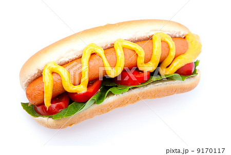Hot dog with vegetables on a white background 9170117