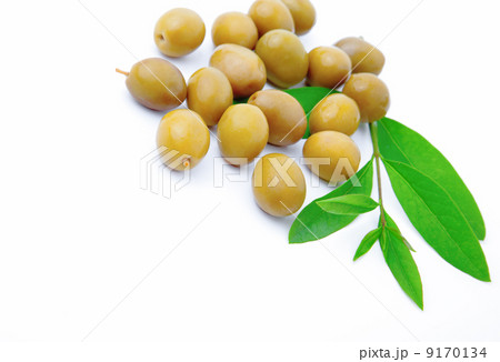 green olives with leaves, isolated on white. with room for text green olives with leaves, isolated on white. with room for text 9170134