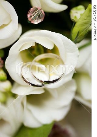 Wedding Rings 9171095