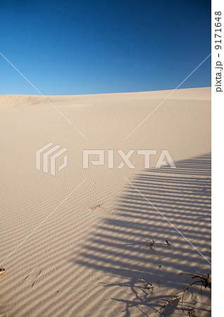 sand to the horizon 9171648