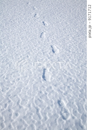 footprints on snow footprints on snow 9171712