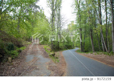 crossroads in the forest crossroads in the forest 9172159