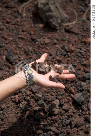 stones on hand stones on hand 9173338