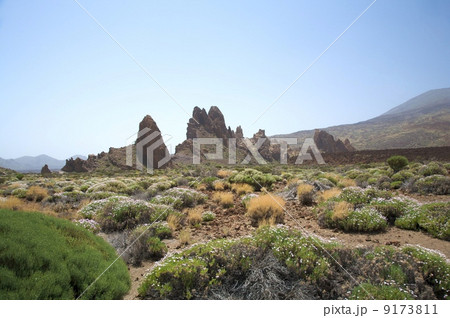 volcanic area 9173811