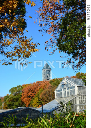 秋の東山植物園 9175241