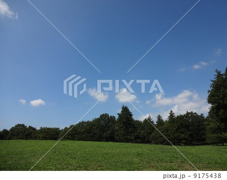 丘と森と青空 右樹 丘と森と青空 右樹 9175438