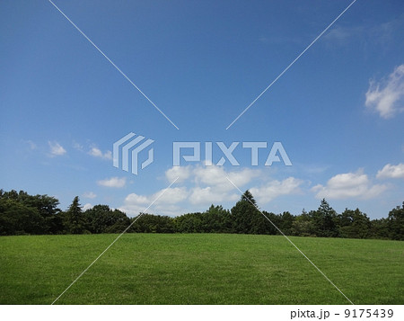 丘と森と青空 森フラット 丘と森と青空 森フラット 9175439