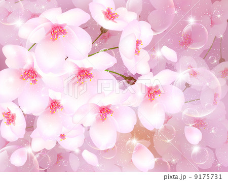 桜　さくら　背景 9175731