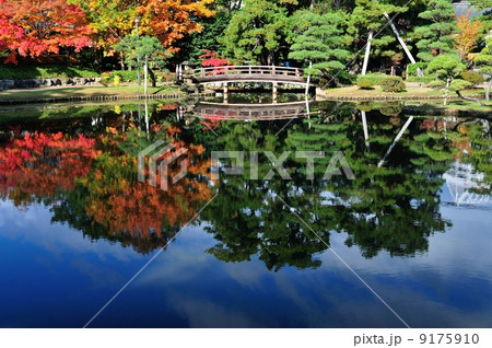 白山公園紅葉 白山公園紅葉 9175910