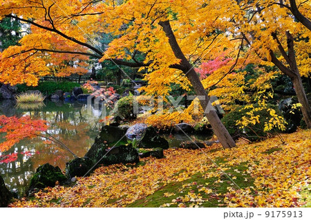 白山公園紅葉 9175913