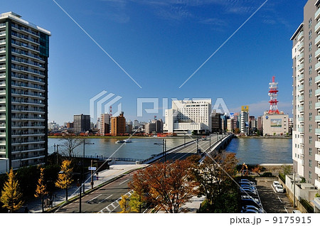 万代橋と信濃川 9175915