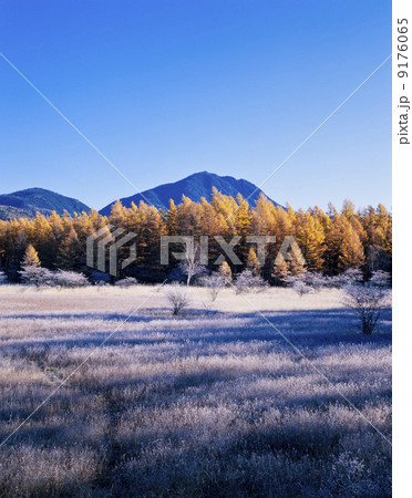 栃木県・秋の日光小田代が原 栃木県・秋の日光小田代が原 9176065