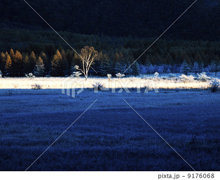 栃木県・晩秋の日光小田代が原 栃木県・晩秋の日光小田代が原 9176068