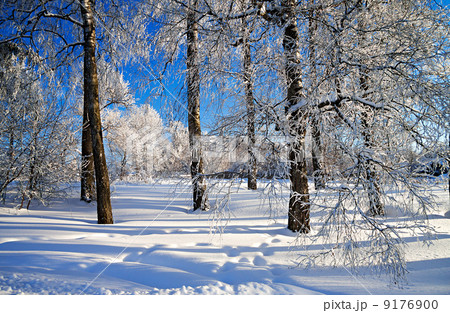 winter landscape with the forest and the blue sky 9176900