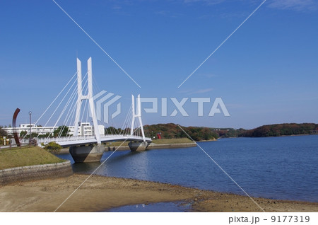 ときわ湖 9177319