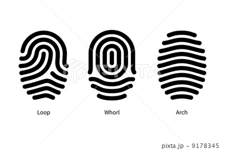 Fingerprint id types on white background. 9178345