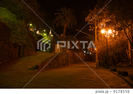 長崎オランダ坂の夜景 9178556