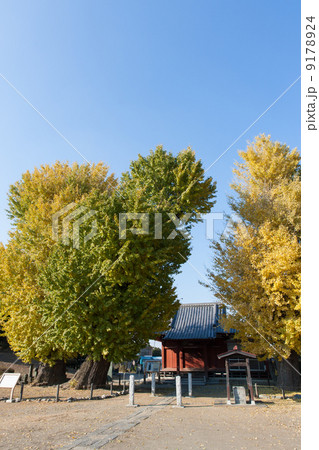 秋景色 秋景色 9178924