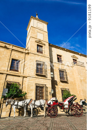 スペイン　メスキータの観光馬車 9181199