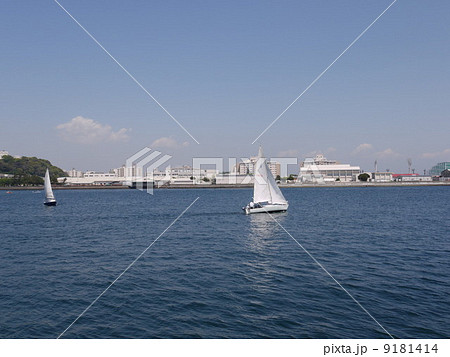 横須賀港でセーリングするヨットの景色 9181414