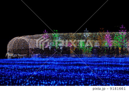 イルミネーション 9181661