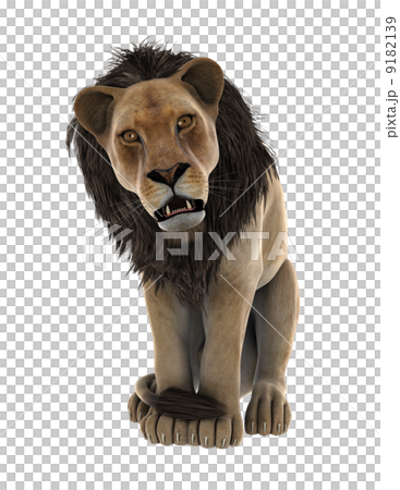 lion 9182139