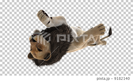 lion 9182140