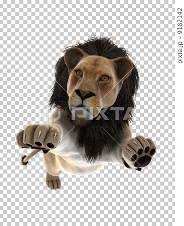 lion 9182142
