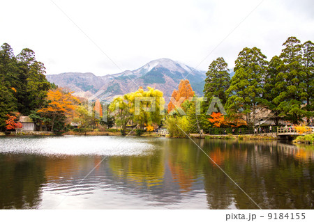 紅葉した湯布院の金鱗湖 紅葉した湯布院の金鱗湖 9184155