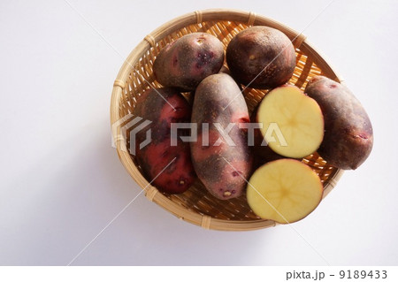 グランドペチカ　ジャガイモ 9189433