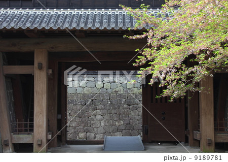 熊本城・南大手櫓門と桜 熊本城・南大手櫓門と桜 9189781