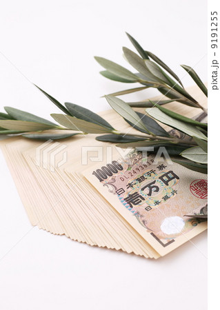 お金とオリーブ 9191255
