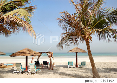 Beach of the luxury hotel, Ajman, UAE 9191492