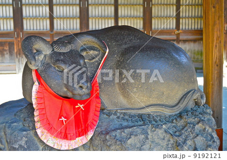 撫牛の石像(牛嶋神社/東京都墨田区向島1-4-5) 撫牛の石像(牛嶋神社/東京都墨田区向島1-4-5) 9192121