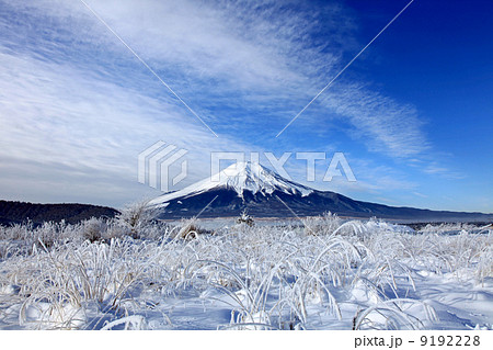 厳冬の富士山 厳冬の富士山 9192228