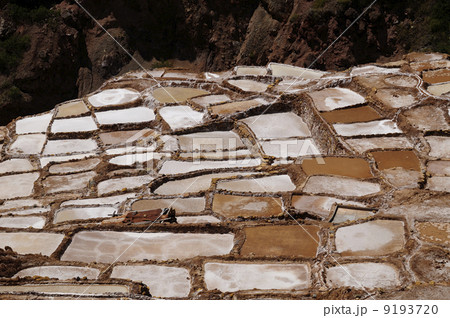 88986 マラス塩田 88986 マラス塩田 9193720