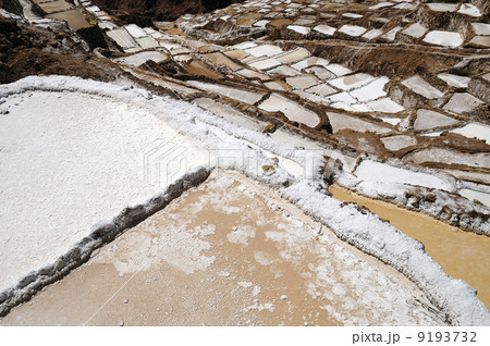 88998　マラス塩田 9193732