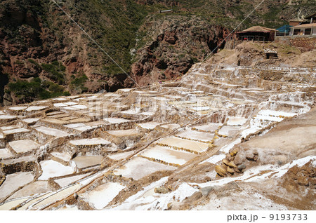 88999 マラス塩田 88999 マラス塩田 9193733