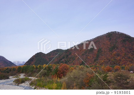 初冬の鹿島川 初冬の鹿島川 9193801
