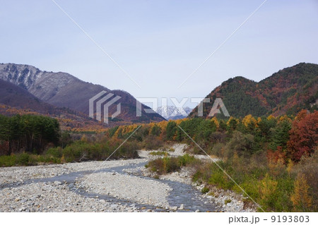 初冬の鹿島川 初冬の鹿島川 9193803