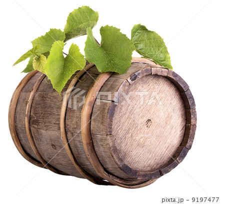 grapes on a wooden vintage barrel grapes on a wooden vintage barrel 9197477